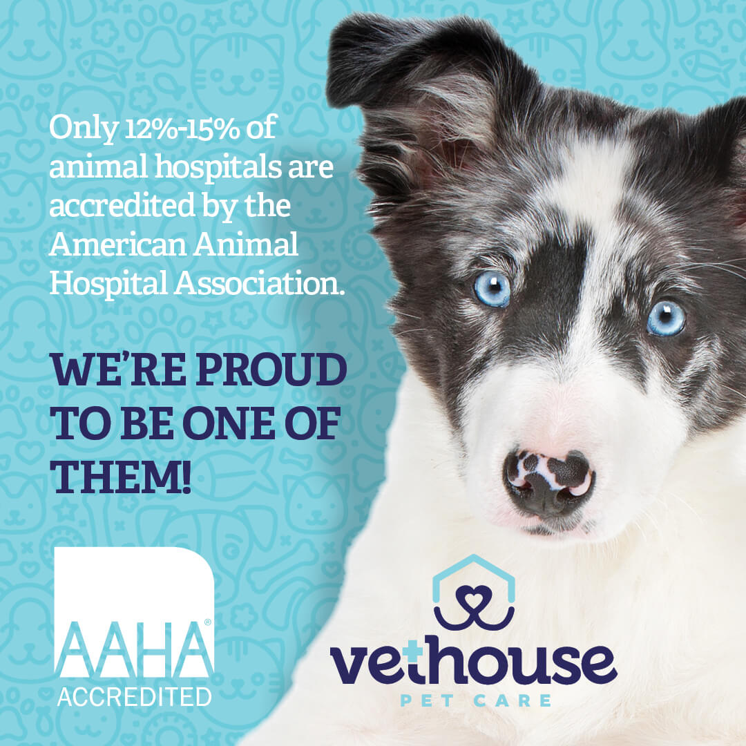 AAHA Satisfaction Survey Vethouse Pet Care